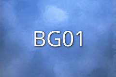 BG01