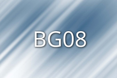 BG08