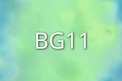BG11
