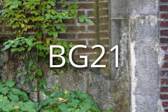 BG21