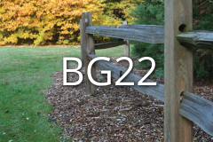 BG22
