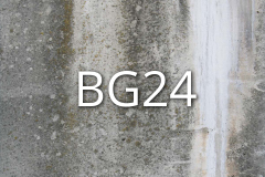 BG24