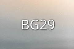 BG29