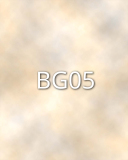BG05 BG05