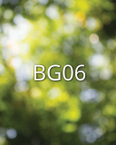 BG06