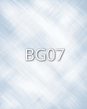 BG07 BG07