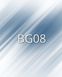 BG08 BG08