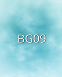 BG09 BG09