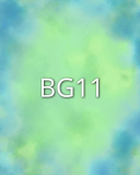 BG11 BG11