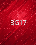 BG17 BG17