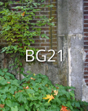 BG21