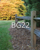 BG22 BG22