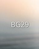 BG29 BG29
