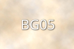BG05