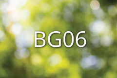 BG06