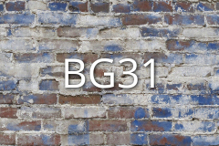 BG31